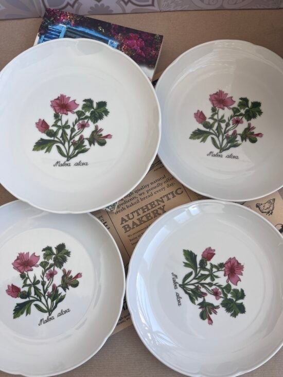 4бр. чинии ʼботаникаʼ